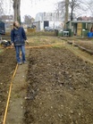 Photo of Patricia on allotments